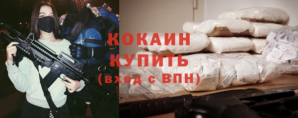 дмт Краснослободск