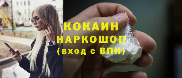 дмт Краснослободск