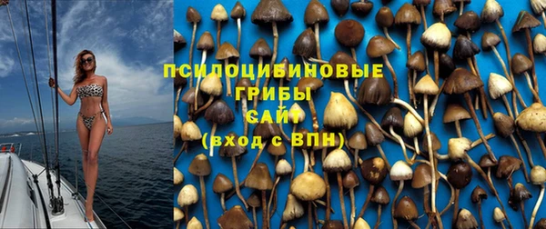 трава Кукмор