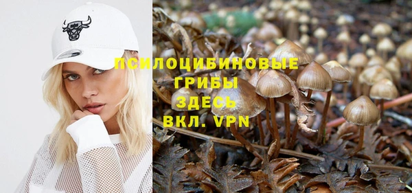 дмт Краснослободск