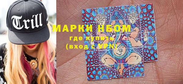 дмт Краснослободск