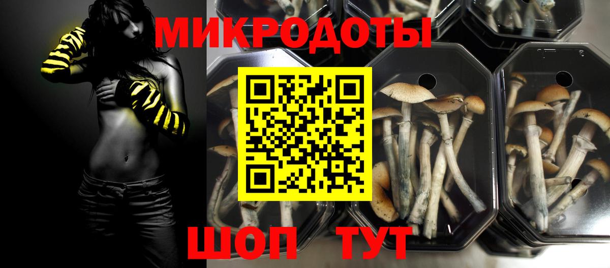 Галлюциногенные грибы Psilocybe  Вход с VPN  Нововоронеж 