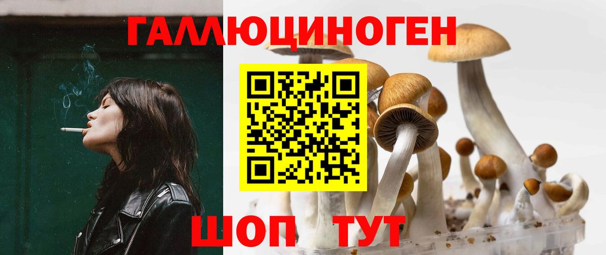 Галлюциногенные грибы мицелий Нововоронеж